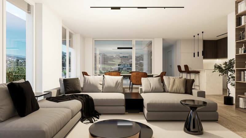 Neubau Terrassenwohnungen - Döttingen (5E) (6)