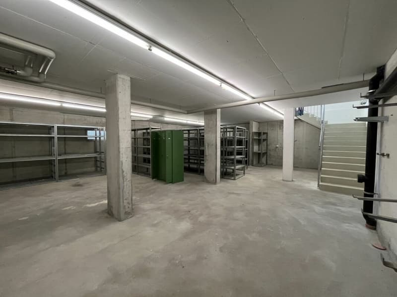 Gewerbeliegenschaft / Ausbau zur Eigentumswohnung (12)
