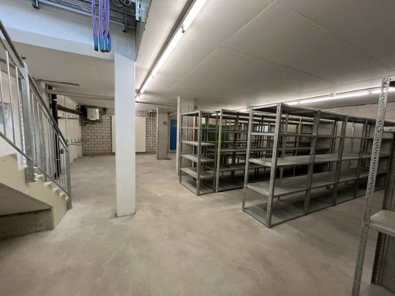 Gewerbeliegenschaft / Ausbau zur Eigentumswohnung (11)