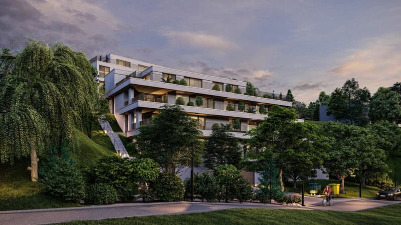 Neubau Terrassenwohnungen - Döttingen (5E) (5)