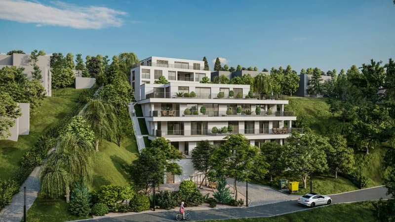 Neubau Terrassenwohnungen - Döttingen (5E) (8)