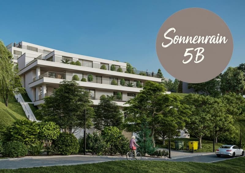 Neubau Terrassenwohnungen - Döttingen (5B) (1)