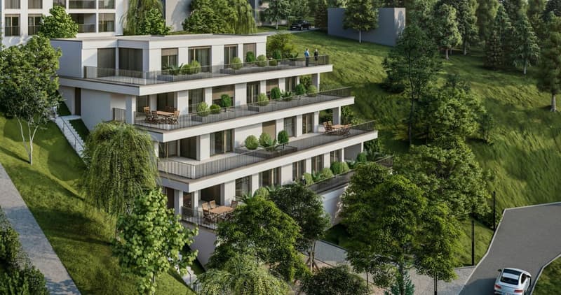 Neubau Terrassenwohnungen - Döttingen (5B) (3)