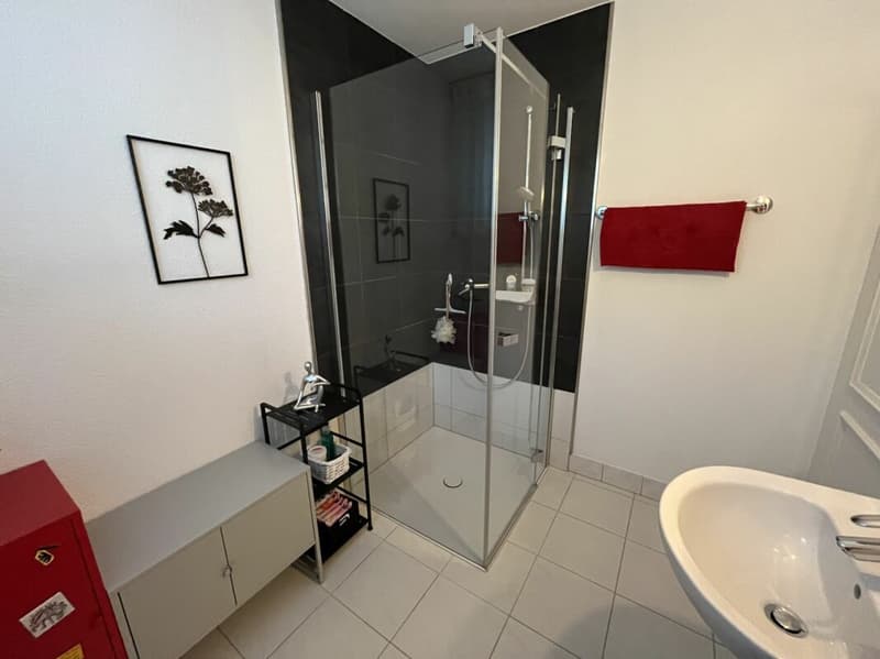 4 1/2-Zimmer Eigentumswohnung (10)