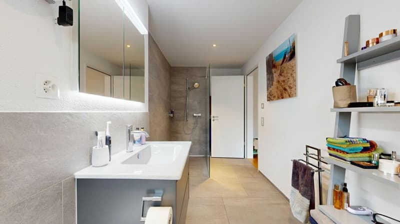 Hochwertige 3 1/2-Zimmer Attikawohnung (11)