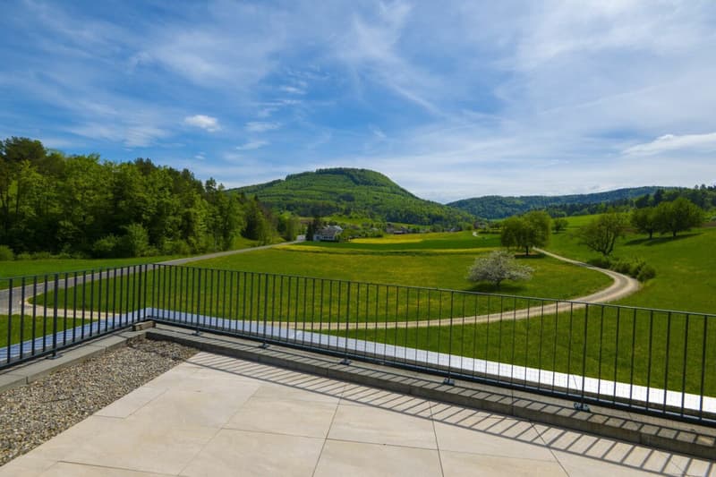 Hochwertige 3 1/2-Zimmer Attikawohnung (3)