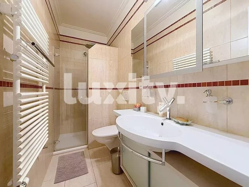À louer ? Bel appartement de caractère au cœur de Genève (7)