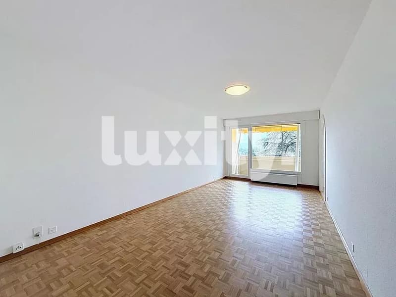 6-room apartment in Thônex (2)