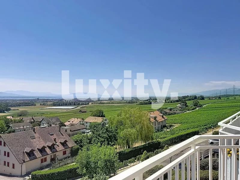 Beautiful character apartment ? Top floor with views of the lake and vineyards ? Luins (3)