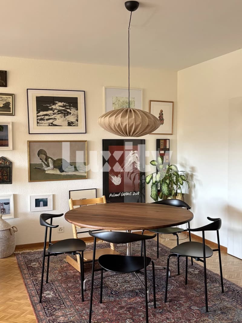 Beautiful apartment with terrace (3)