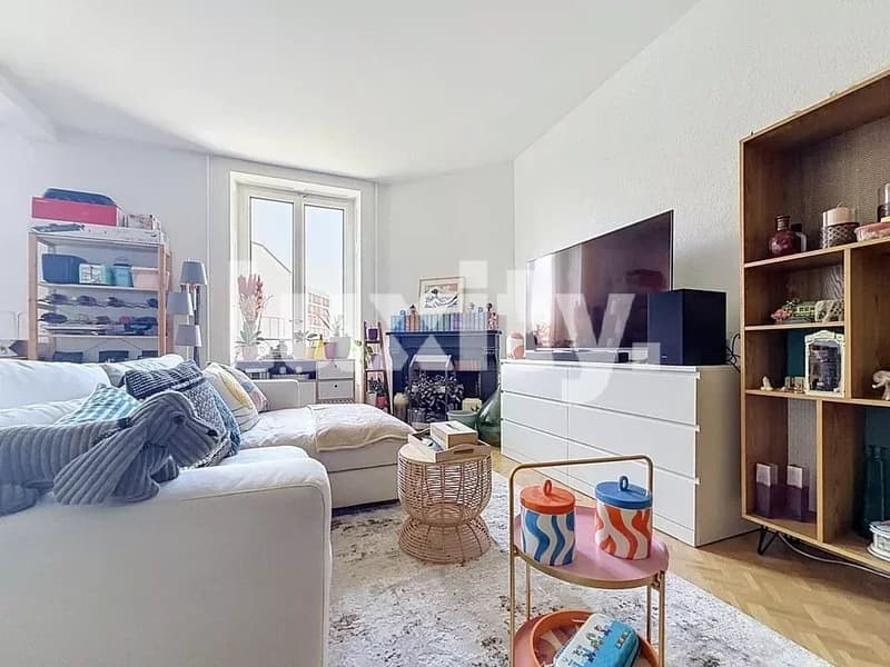 Beautiful fully renovated apartment (1)