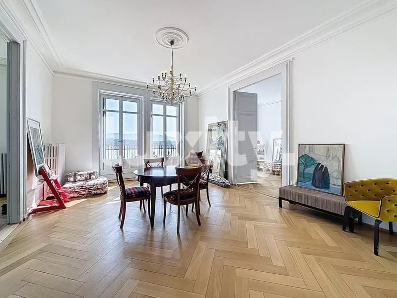 Ampio appartamento in stile Haussmanniano con vista sul getto d'acqua (3)