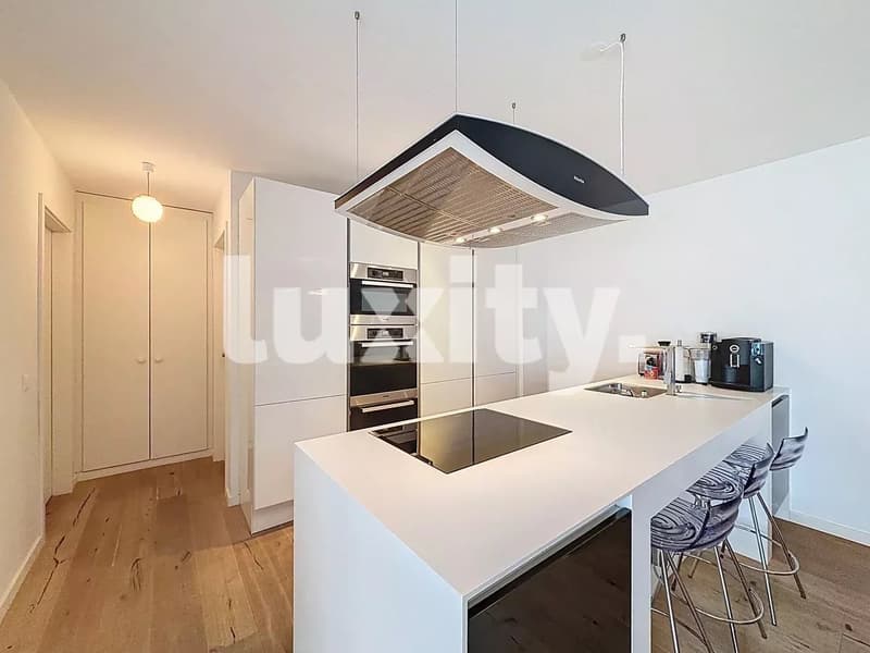 Appartement meublé 4 pièces avec grande terrasse (3)
