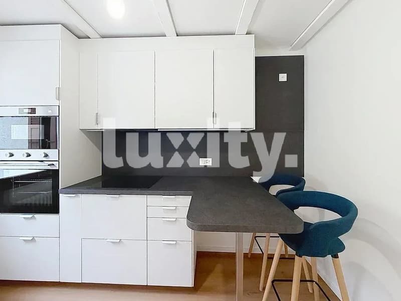 Belle maison familiale de plus de 175 m² à Chambésy (4)