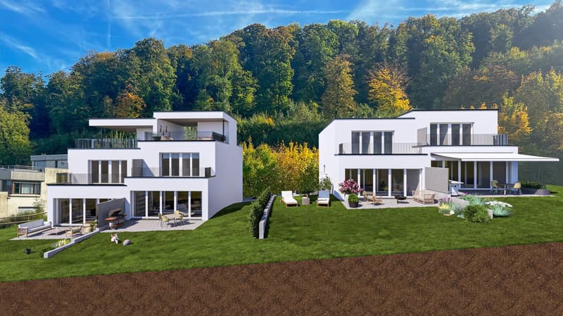 Case a schiera soleggiate a posizione elevata a Pratteln con vista panoramica (4)