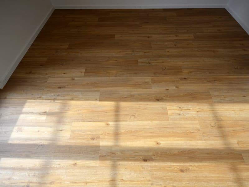 Charmant appartement 3 pièces au Schmittiplatz à Pratteln (6)