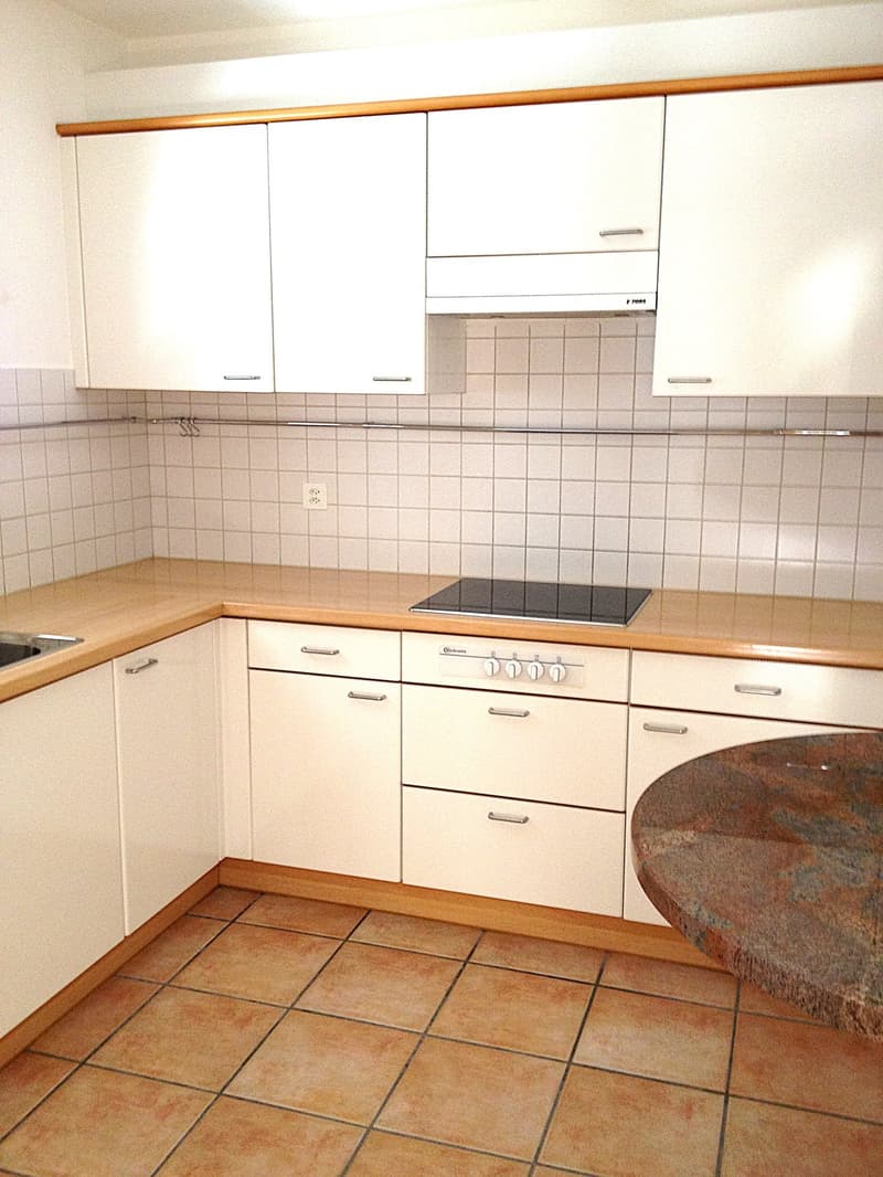 Appartement 3.5 pièces avec jardin à Manno (7)