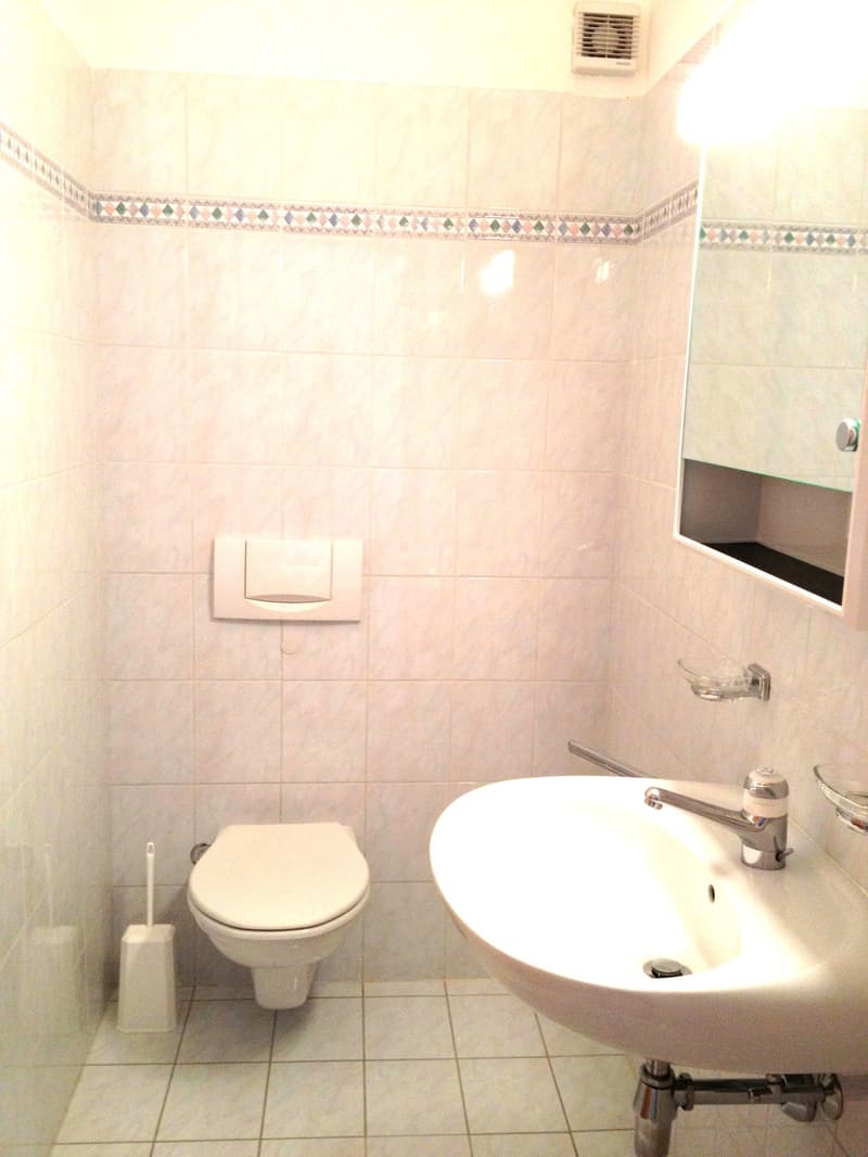 Appartement 3.5 pièces avec jardin à Manno (12)