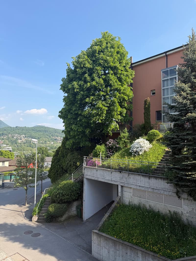 Appartement 3.5 pièces avec jardin à Manno (2)
