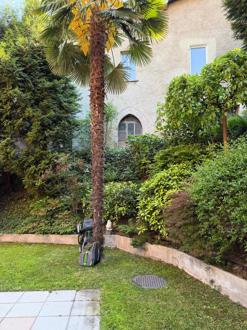Appartement 3.5 pièces avec jardin à Manno (5)