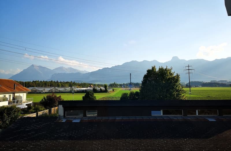 Wunderschöne 4.5 Zimmer-DG-Wohnung mit Panoramablick (1)