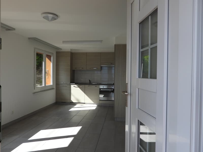 Appartamento di 4,5 locali con terrazza in una zona tranquilla (3)
