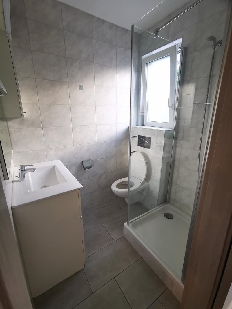 Studio centrale con balcone a Thun (5)