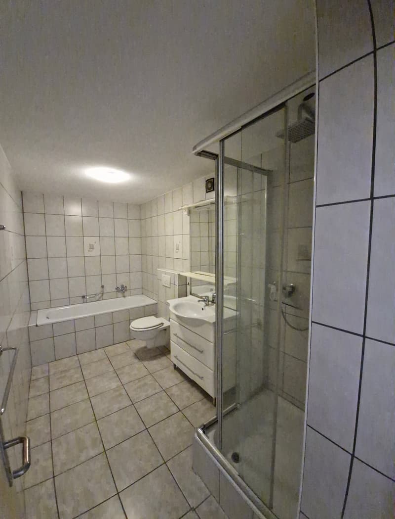 Bright 4.5-room apartment in Aeschi near Spiez – Quiet location with beautiful views (5)
