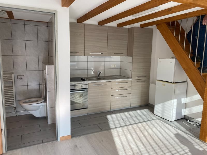 Sehr zentrales Studio im EG in der Stadt Thun (1)