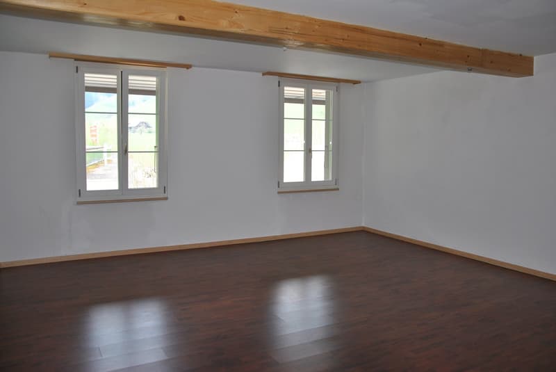 Ländliche 5.5 Zimmer Wohnung (7)