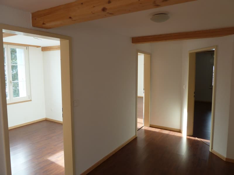 Ländliche 5.5 Zimmer Wohnung (10)