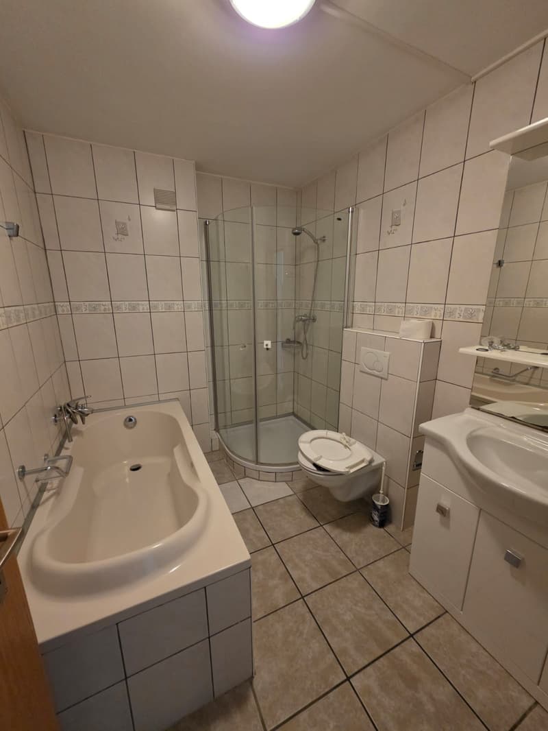 Ländliche 5.5 Zimmer Wohnung (6)