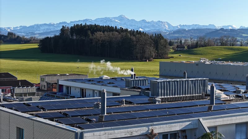 202412_Helvetica_Zuzwil_0052_D.JPG