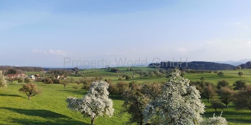Landschaft