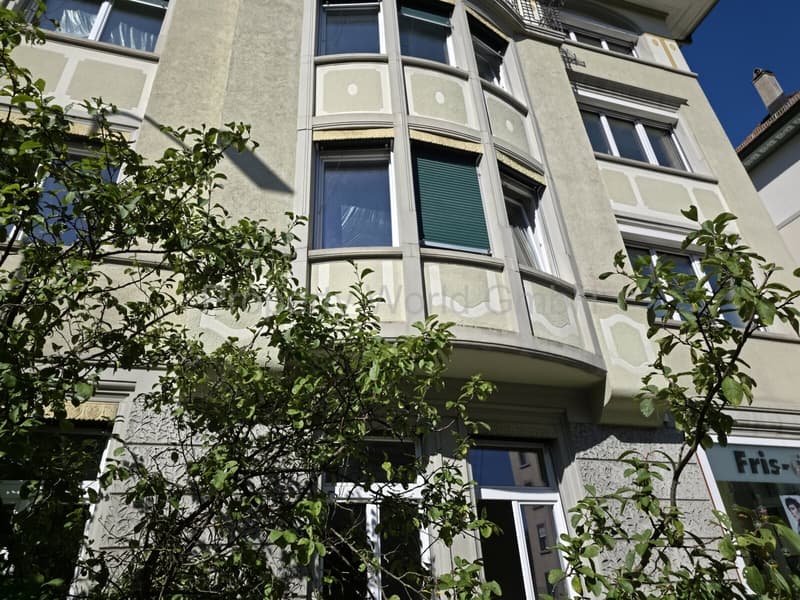 Renditekräftiges Mehrfamilienhaus im Riethüsliquartier (4)