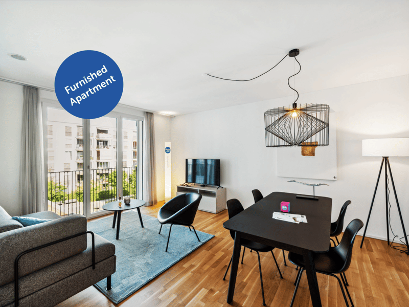 Basel-Erlenmatt - Design-Apartment im modernen Erlenmattquartier (1)