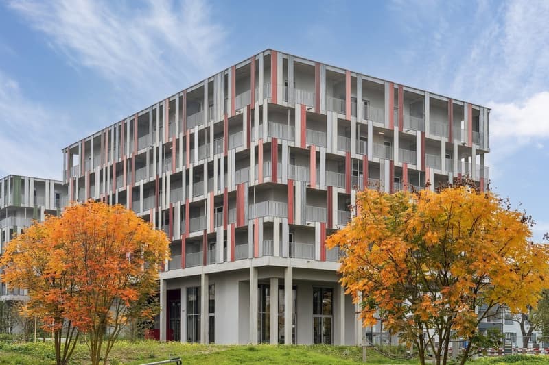 Design-Apartments im Lisbon-Style Direkt am Bahnhof Muttenz (12)