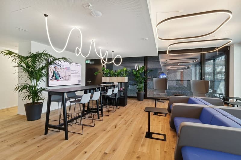 Basel-Münchenstein Espaces de Co-Working à Louer (7)
