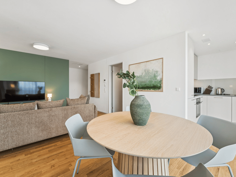 Möblierte Apartments im Oslo Style | LOU Luzern (4)
