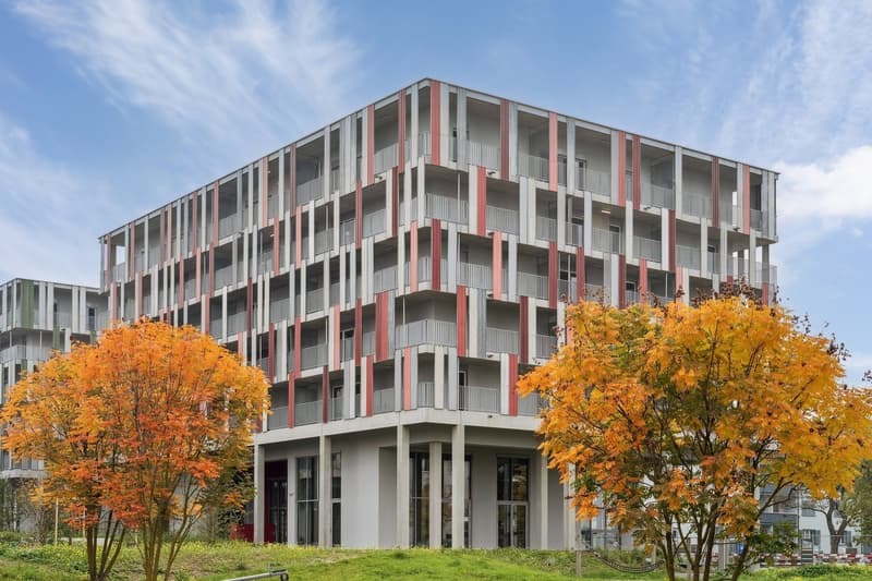 Design-Apartments im Lisbon-Style  Direkt am Bahnhof Muttenz (10)