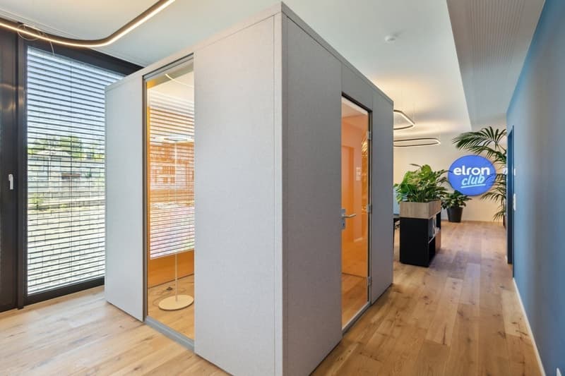 Basel-Münchenstein Co-Working Arbeitsplätze zu vermieten (6)