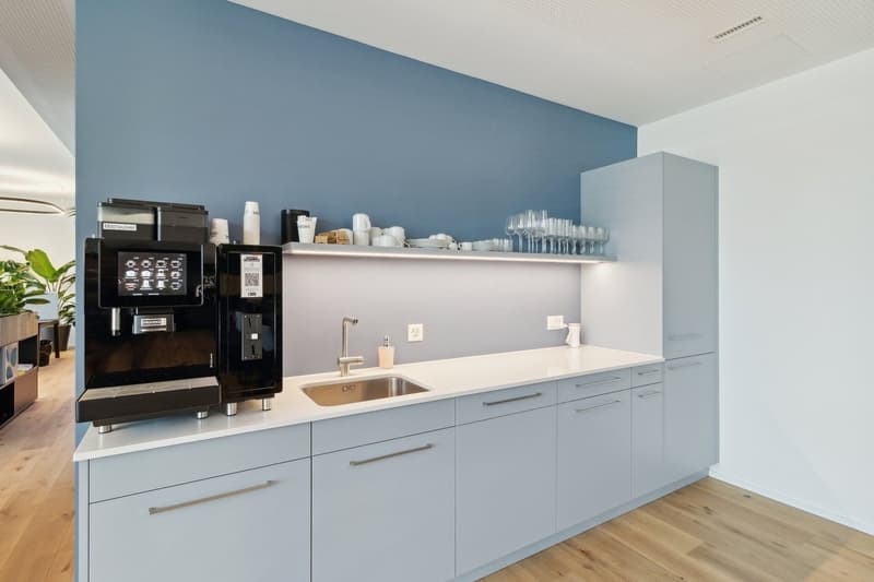 Basel-Münchenstein Co-Working Arbeitsplätze zu vermieten (3)