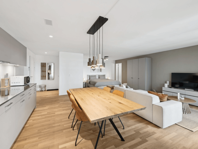 Möblierte Apartments mit Madrid Flair direkt im grössten Shoppingcenter der Schweiz! (4)