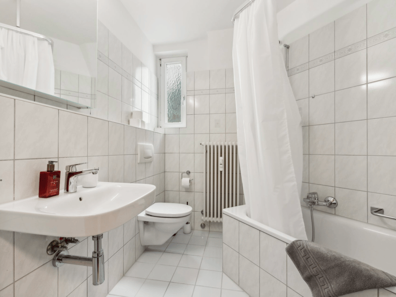Basel-Güterstrasse möbliertes 2.5-Zimmer-Apartment (5)