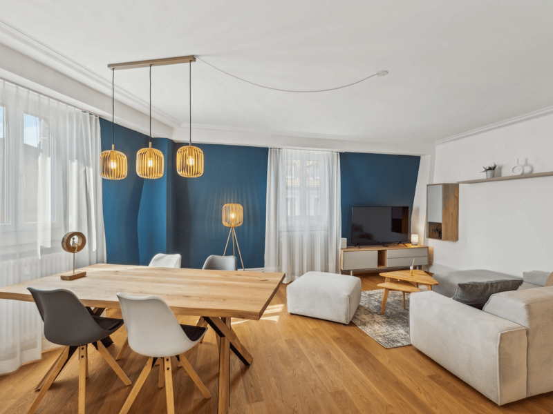 Basel-Güterstrasse  möbliertes 2.5-Zimmer-Apartment (2)