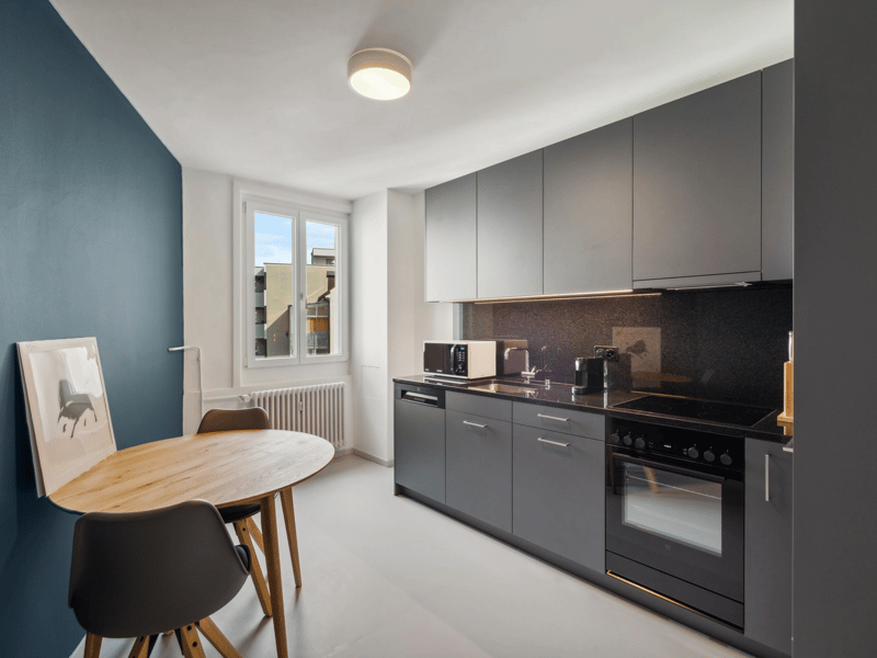 Basel-Güterstrasse  möbliertes 2.5-Zimmer-Apartment (3)