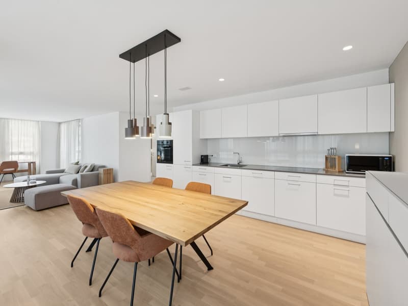 Möblierte Apartments mit Madrid Flair direkt im grössten Shoppingcenter der Schweiz! (4)