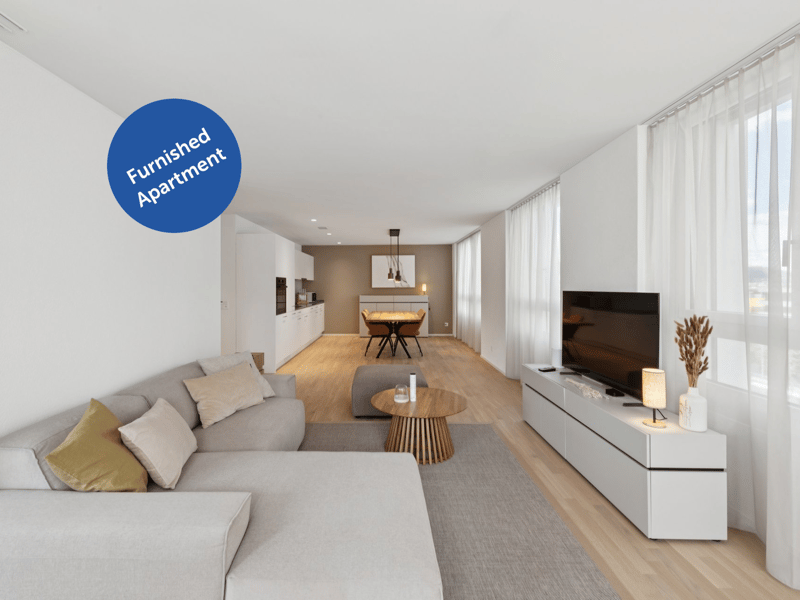 Möblierte Apartments mit Madrid Flair direkt im grössten Shoppingcenter der Schweiz! (1)
