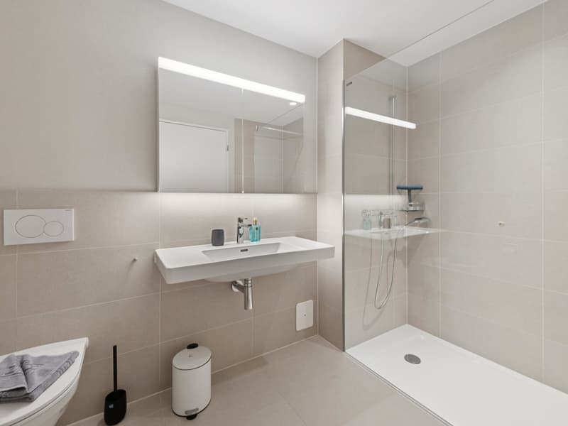 Möblierte Apartments mit Madrid Flair direkt im grössten Shoppingcenter der Schweiz! (7)