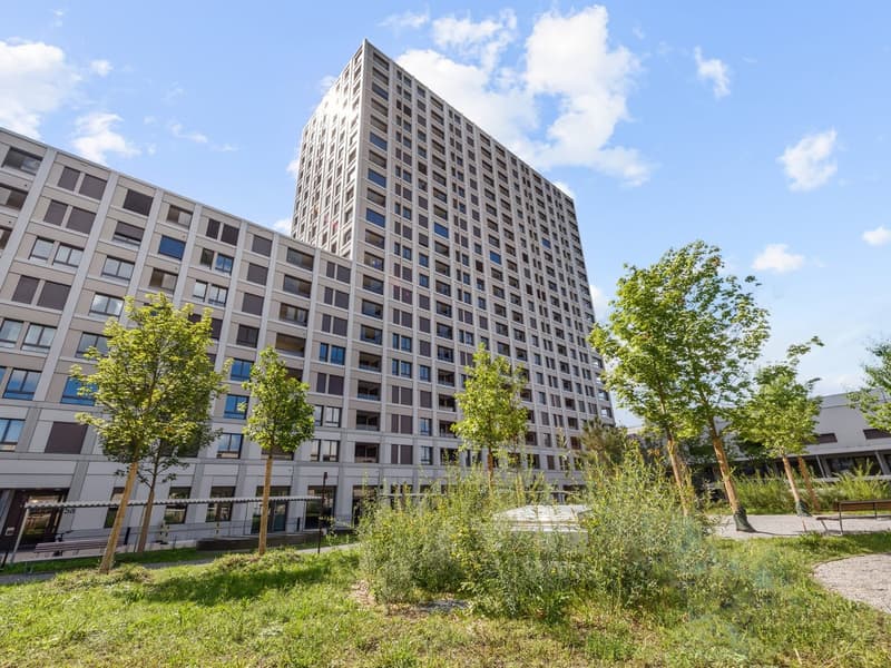 Möblierte Apartments mit Madrid Flair direkt im grössten Shoppingcenter der Schweiz! (8)